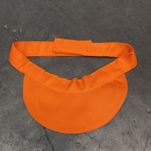Visor
