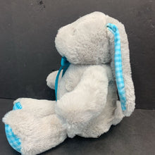 Load image into Gallery viewer, Bunny Plush (NEW)
