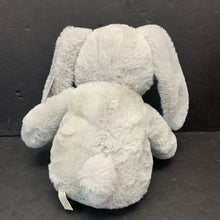 Load image into Gallery viewer, Bunny Plush (NEW)
