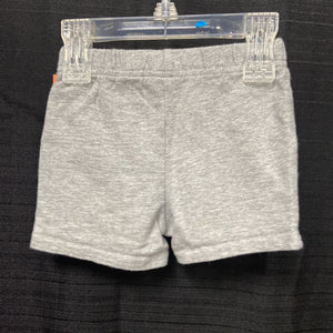 USA flag shorts