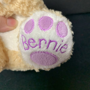 Bernie the Praying Bear (Bright Inspirations)