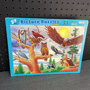 25pc Birds of Prey Picture Puzzle