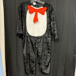 Cat in the Hat Costume