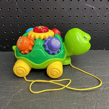 Load image into Gallery viewer, Roll &amp; Learn Turtle Battery Operated
