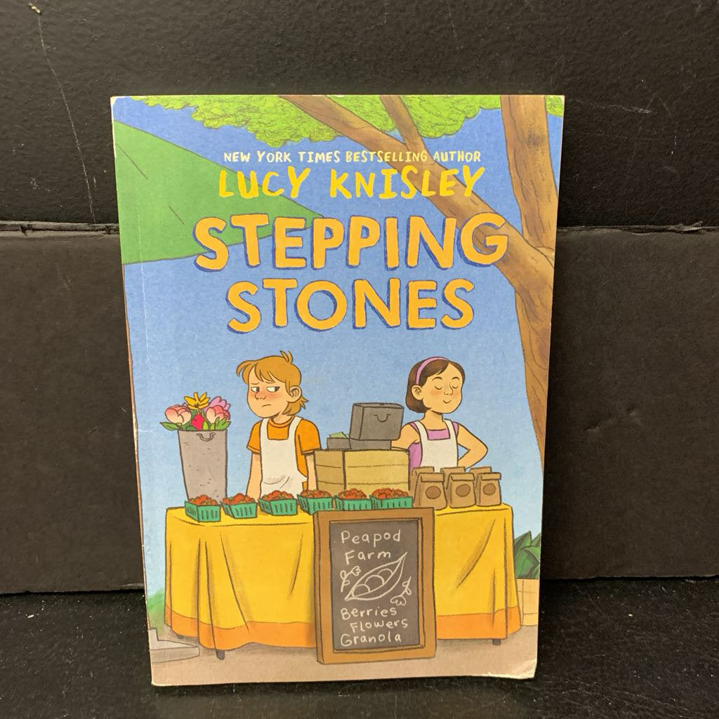 Stepping Stones (Graphic Novel) (Lucy Knisley) -chapter paperback