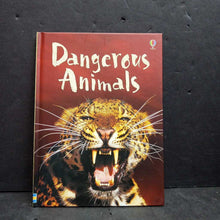 Load image into Gallery viewer, Dangerous Animals (Usborne) (Rebecca Gilpin) -educational hardcover
