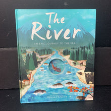 Load image into Gallery viewer, The River: An Epic Journey to the Sea (Patricia Hegarty) (Migration) -educational hardcover)
