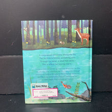 Load image into Gallery viewer, The River: An Epic Journey to the Sea (Patricia Hegarty) (Migration) -educational hardcover)
