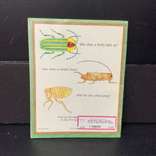 Load image into Gallery viewer, Bugs (Nancy Winslow Parker &amp; Joan Richards Wright) (Insects) -educational paperback
