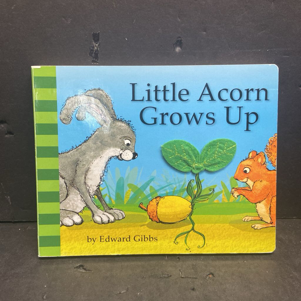 Little Acorn Grows Up (Edward Gibbs) -board