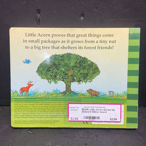 Little Acorn Grows Up (Edward Gibbs) -board