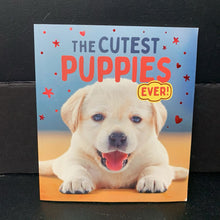 Load image into Gallery viewer, The Cutest Puppies Ever Book (Catherine Veitch &amp; Anna Claybourne) -educational paperback
