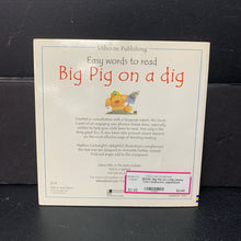 Load image into Gallery viewer, Big Pig on a Dig (Jenny Tyler) (Usborne) -paperback
