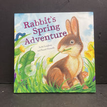Load image into Gallery viewer, Rabbit's Spring Adventure (Anita Loughrey, Daniel Howarth) -hardcover
