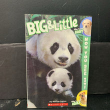 Load image into Gallery viewer, Big &amp; Little (Marilyn Easton) -educational reader paperback
