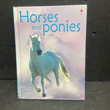 Load image into Gallery viewer, Horses and Ponies (Usborne) (Anna Milbourne) -educational hardcover
