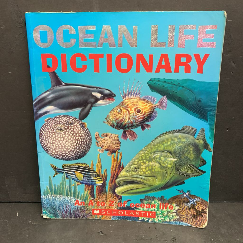 Englishlabo ocean セット 英語 セブ島英語留学 × ダイビング コラボツアー開始のお知らせ | DH