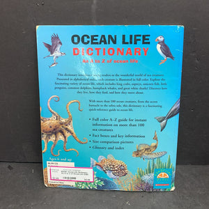 Englishlabo ocean セット 英語 Ocean Zones Activity, Morning Basket, Homeschool, Learning