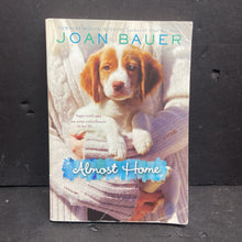 Load image into Gallery viewer, Almost Home (Joan Bauer) -chapter paperback
