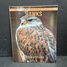 Load image into Gallery viewer, Hawks (Laura Stefano) (Birds) -educational paperback
