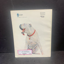 Load image into Gallery viewer, That Magnetic Dog (Bruce Whatley) -paperback
