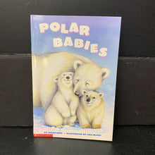 Load image into Gallery viewer, Polar Babies (Susan Ring) (Scholastic) -reader paperback
