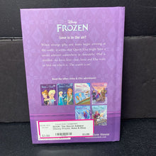 Load image into Gallery viewer, The Secret Admirer (Disney Frozen, Anna &amp; Elsa) (Erica David) -series character hardcover
