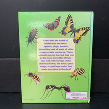 Load image into Gallery viewer, Everything You Want to Know about Creepy Crawlies (Wendy Madgwick) (Insects) -educational hardcover
