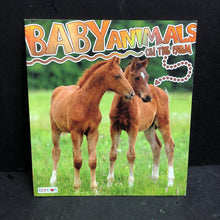 Load image into Gallery viewer, Baby Animals on the Farm -educational paperback
