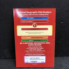 Load image into Gallery viewer, Lions (National Geographic Kids Level 1) (Laura Marsh) (Mammals) -educational reader paperback
