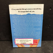 Load image into Gallery viewer, Because of the Rabbit (Cynthia Lord) -chapter paperback
