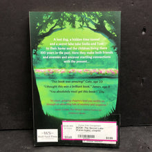 Load image into Gallery viewer, The Secret Lake (Karen Inglis) -chapter paperback
