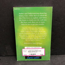Load image into Gallery viewer, Curious Kitten (Holly Webb) (Pet Rescue Adventures) -series paperback
