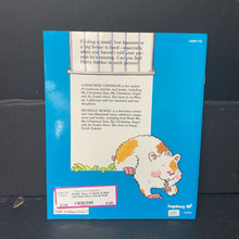 Load image into Gallery viewer, Harry is Gone! A Hide-and-Seek Story (Sarah Reid Chisholm) -look &amp; find paperback

