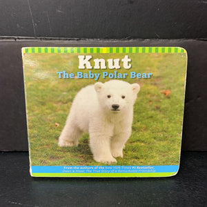 Knut: The Baby Polar Bear (Juliana, Isabelle, & Craig Hatkoff; Gerald Uhlich) -board