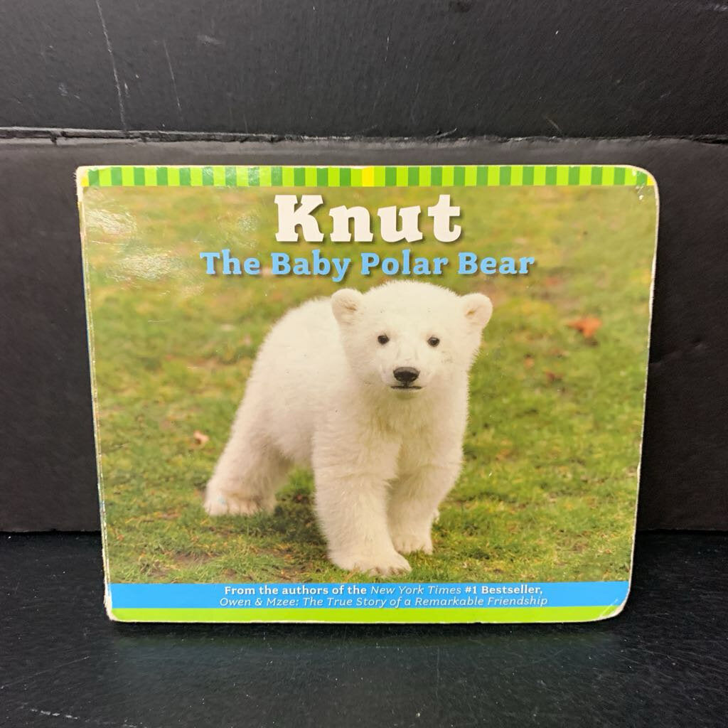 Knut: The Baby Polar Bear (Juliana, Isabelle, & Craig Hatkoff; Gerald Uhlich) -board