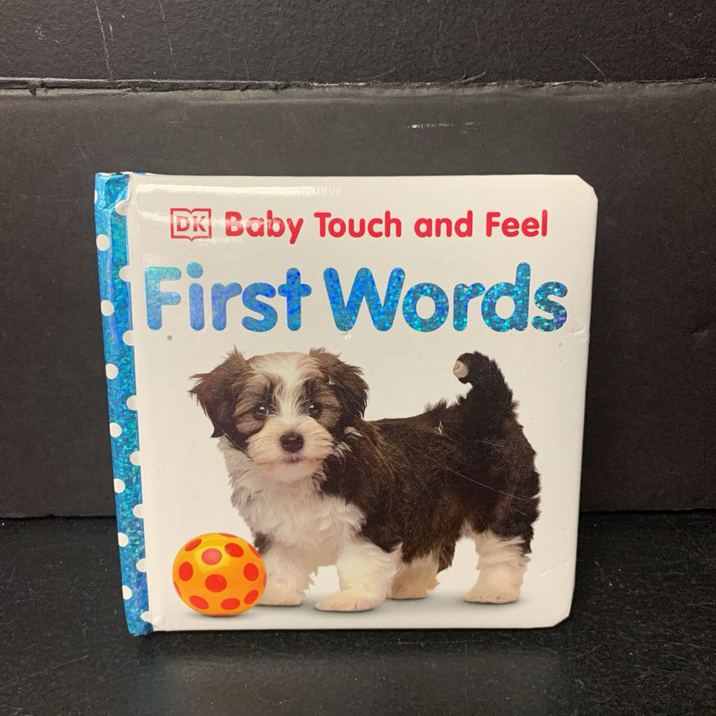 First Words (DK) -touch & feel board