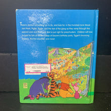Load image into Gallery viewer, Pooh (Disney Pooh &amp; Friends) -character look &amp; find hardcover
