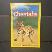 Load image into Gallery viewer, Cheetahs (National Geographic Kids Level 2) (Laura Marsh) -educational reader paperback
