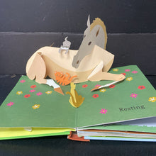 Load image into Gallery viewer, Ten Horse Farm (Robert Sabuda) -pop-up hardcover
