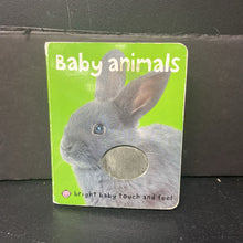 Load image into Gallery viewer, Baby Animals (Roger Priddy) -touch &amp; feel board
