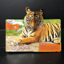 Load image into Gallery viewer, Who&#39;s in the Jungle? (Pop-Up Animals) -educational pop-up board
