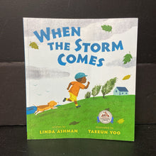 Load image into Gallery viewer, When the Storm Comes (Linda Ashman) -paperback
