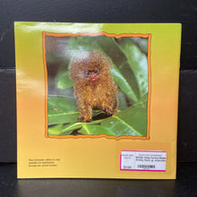 Load image into Gallery viewer, Rain Forest Babies (Kathy Darling) -educational paperback
