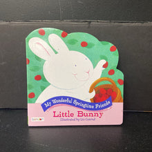 Load image into Gallery viewer, Little Bunny (My Wonderful Springtime Friends) -board
