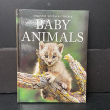 Load image into Gallery viewer, Baby Animals (Snapshot Picture Library) (Mariah Bear) -educational hardcover
