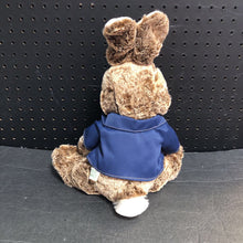 Load image into Gallery viewer, Peter Rabbit Plush (NEW)
