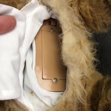 Load image into Gallery viewer, Alive Lion Cub Battery Operated
