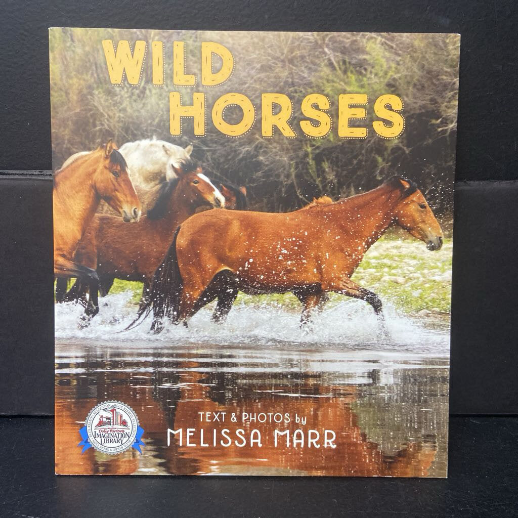 Wild Horses (Melissa Marr) -educational paperback