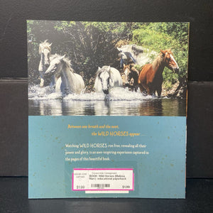 Wild Horses (Melissa Marr) -educational paperback